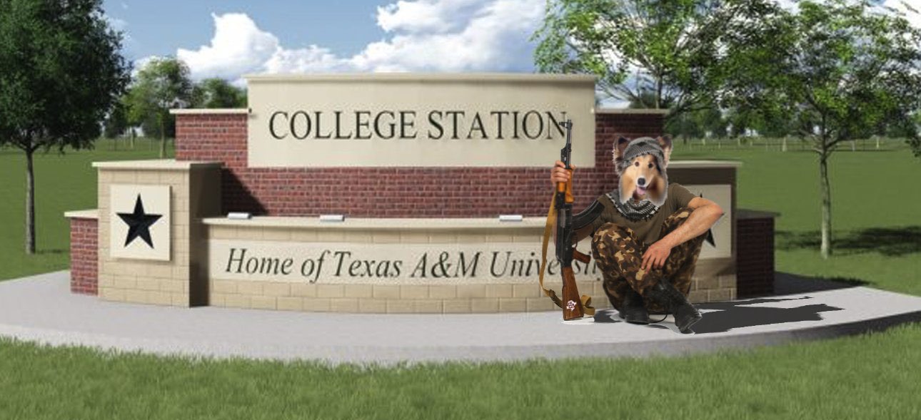 GDHNX_xXEAAhypv?format=jpg&name=large