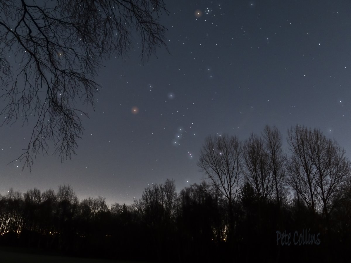 HPAstroGroup's tweet image. Orion rising. Some recent research has indicated that Betelgeuse could go supernova within the next few decades, rather than sometime in the next million years as previously thought. When it does go pop, it will be as bright as the full moon.