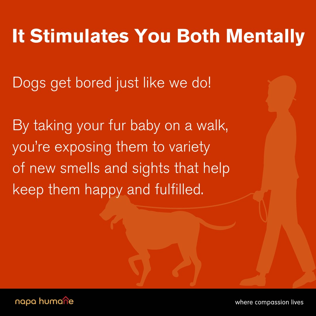 Napa Humane tweet media