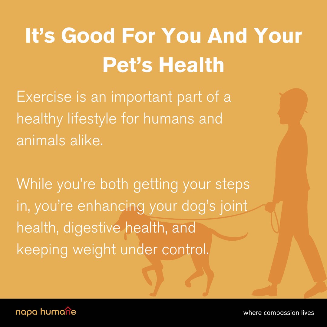 Napa Humane tweet media