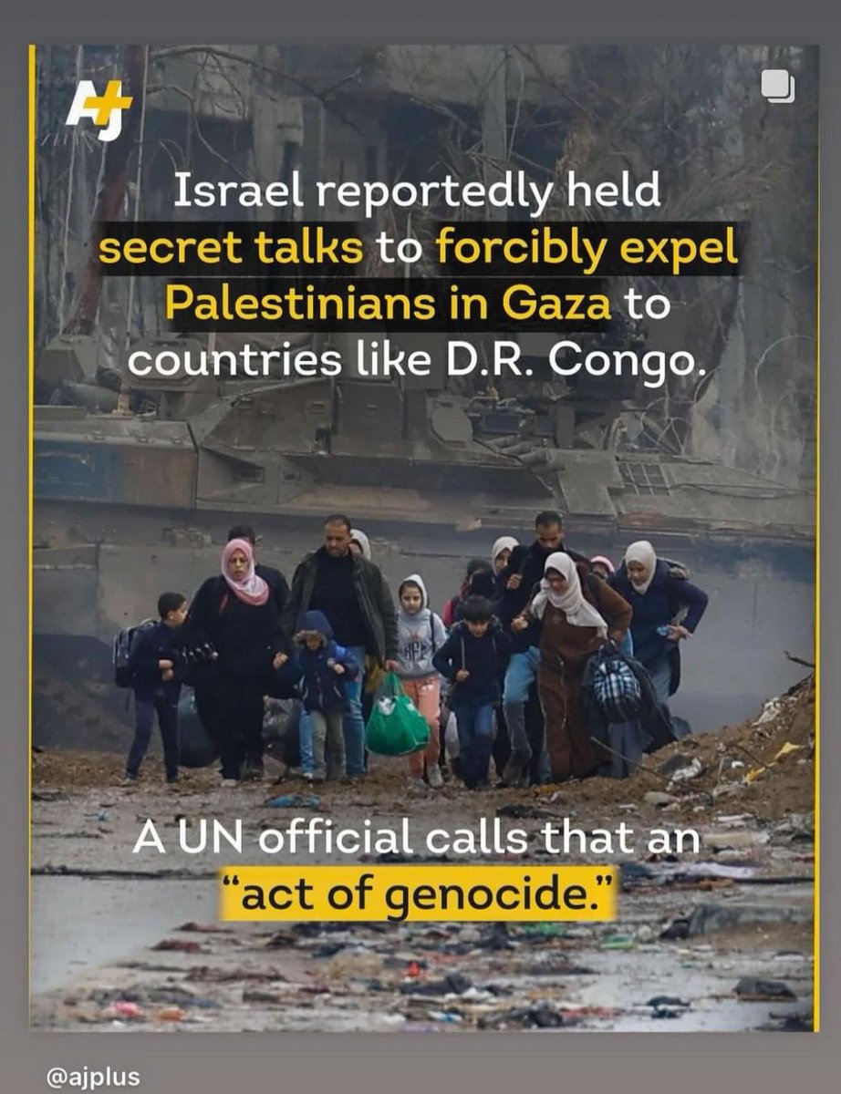 EllenGabriel1's tweet photo. The Occupier has no right to force #Palestinians to leave their #Homelands
@UN_SPExperts #Forcibledisplacement is illegal “every effort must be made to prevent unlawful displacement from taking place” @UN @antonioguterres https://t.co/osGvvRjLvS