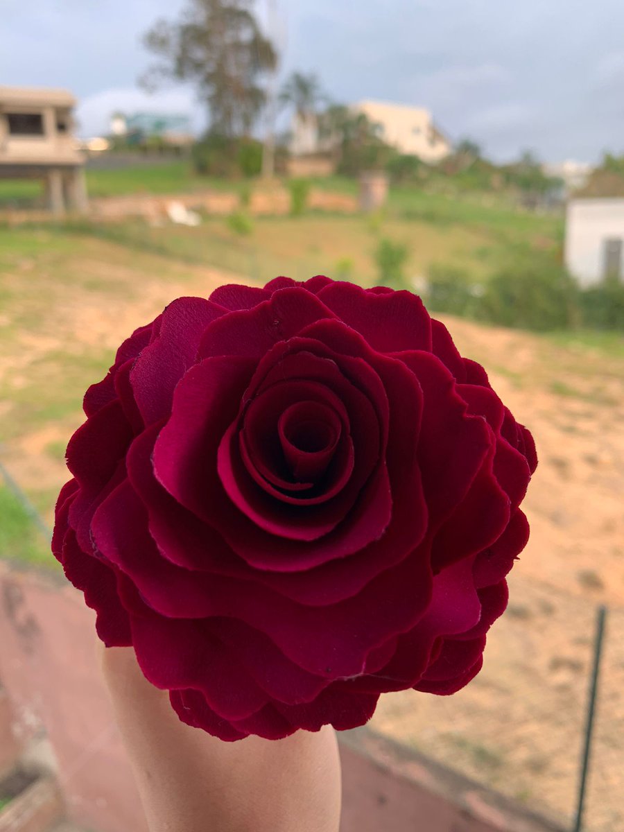 PisceanR6's tweet photo. Comecei a fazer Rosas de Madeira pra vender (madeira mesmo), eu mesmo que to fazendo, trabalho todo feito a mão.  Quem não puder comprar, só de dar um rt ja ajuda demais. Segue o link abaixo, ou se preferir, chama na dm que conversamos.

https://t.co/Paeb0T8lBX https://t.co/vRK7oWdvaQ