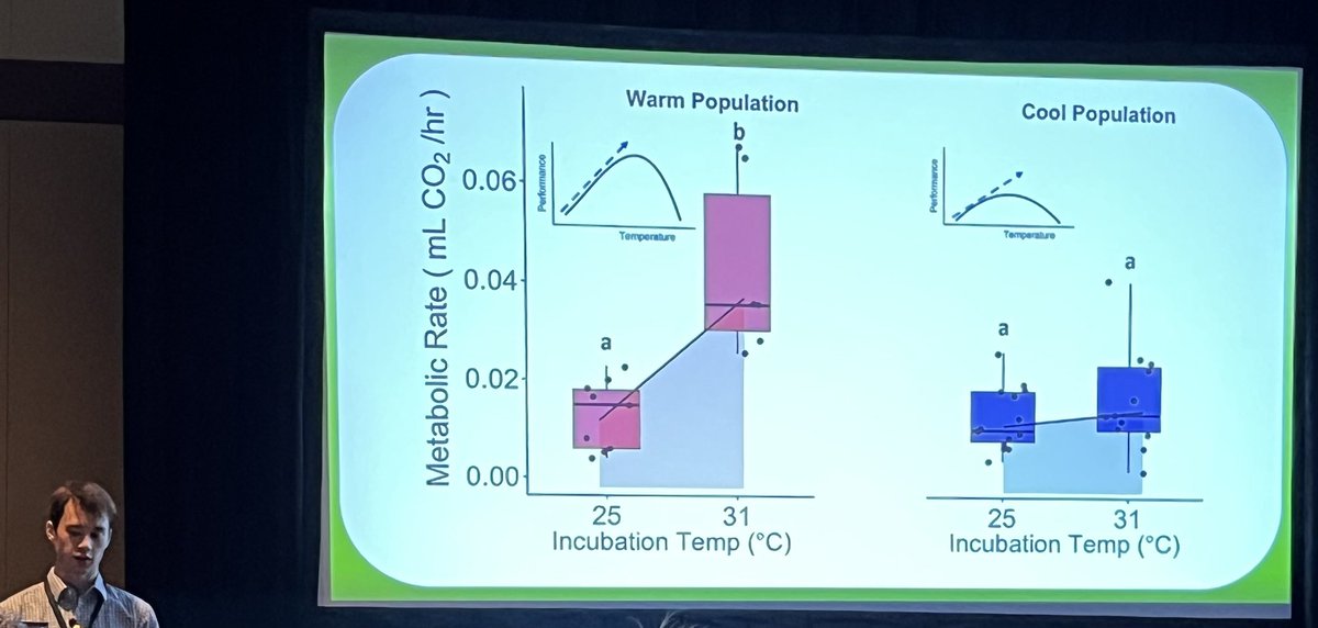 HaussmannLab's tweet photo. Great talk about incubation temperature, heart rate, and metabolism in fence lizards by @Haussben. He’s also my nephew so it was super fun sitting in the audience and watch him present some of his Masters work @UNOmaha. #SICB2024 https://t.co/FlbWdF82la
