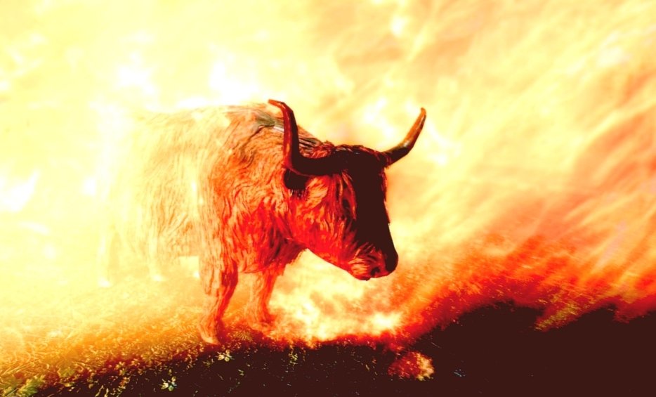 These four mercenaries from India who murdered children in #Gaza for the Israeli terrorist army are done. They can go worship their cow in hell.

They found out.
🔥☠️☝️