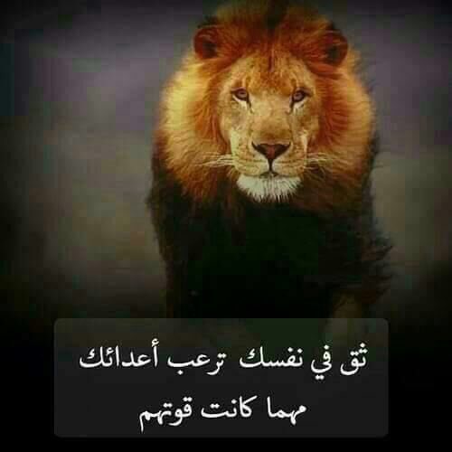 yyy4w's tweet photo. ثق في نفسك ترعب أعدائك
مهما كانت قوتهم ✨✨👌 https://t.co/ydh2pzvj8p