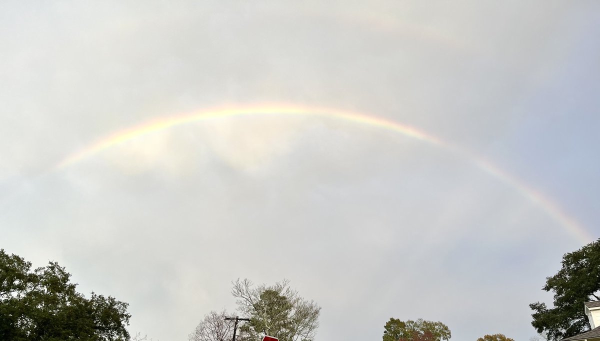 Danielle Mitchell tweet media