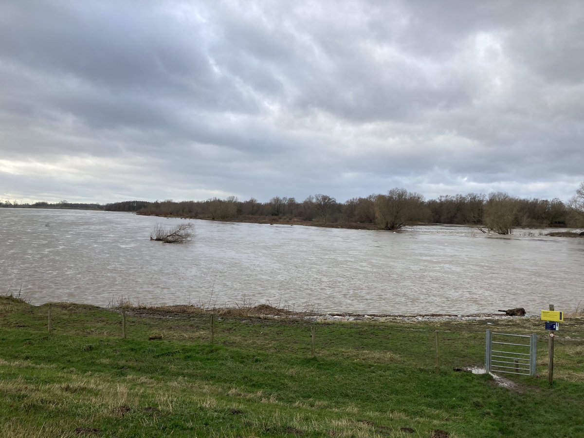 Aardige bak water in de <a href="/grensmaas/">Grensmaas</a>. Al is dit ongeveer de helft van de 3100 kuub per seconde die we in juli 2021 hier in obbicht hadden. Wel genoeg potentiële schaatsplassen ontstaan zo, hopen op meer dan 1 week vorst🤞🏼