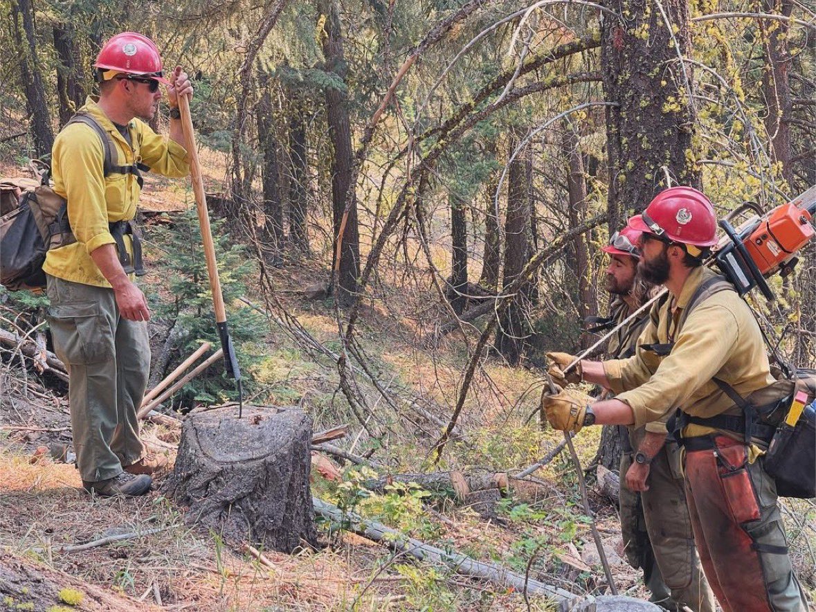 #Repost from @boise_helitack
.
Fireline Leadership Rule #473 - When disciplining an unruly saw team during criticals, always maintain the high ground and activate your Combi pick…
.
.
<a href="/baileysonline/">Bailey's Outdoor Power Equipment</a> #arboristsofinstagram #arboriststuff #arblife #treeclimber #trees