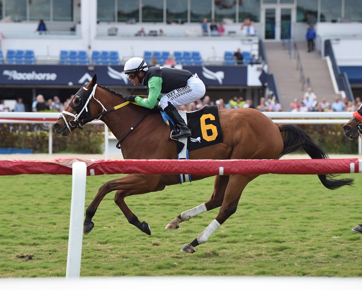 SaffieJosephJr's tweet photo. #5Jan Rough Draft
Jockey: Javier Castellano
Trainer: Saffie Joseph, Jr.
Owners: Clear Stars Stable / Mitre Box Stable / Big Toe Stables LLC
Claiming $35,000 • Turf
1️⃣6️⃣th victory for Saffie Joseph, Jr. #GulfstreamPark #ChampionshipMeet
📸 @coglianesephoto https://t.co/KfFtTL3r8I