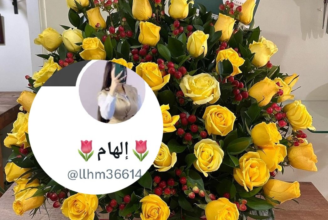 llhm366144's tweet photo. @msry91512305 صبااح ورد وفل وياسمين من جمال حضورك 🌷🌷😄 https://t.co/z59sRQgcBx