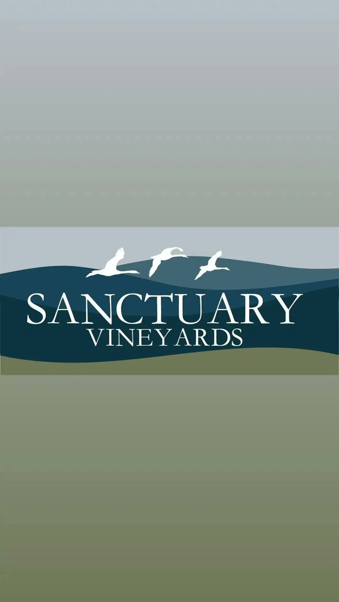 PaulUrban6's tweet photo. Paul Urban January 2024
Fri. 1/19 6:30pm solo Elation Brewing
Sat. 1/20 12pm Sanctuary Vineyards
#blues #bluesrock #smoothjazz #Americana #guitar #craftbeer #ncwine @elationbrewing https://t.co/b7wxC6Y962 https://t.co/2GHqLlPId3