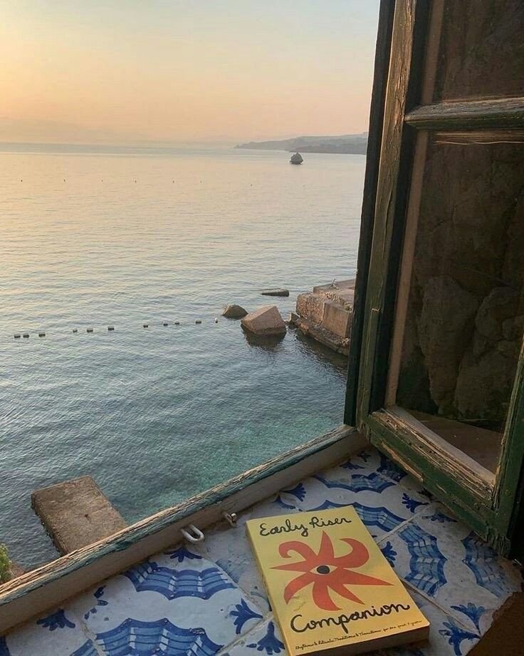 poeticalphotos's tweet image. 