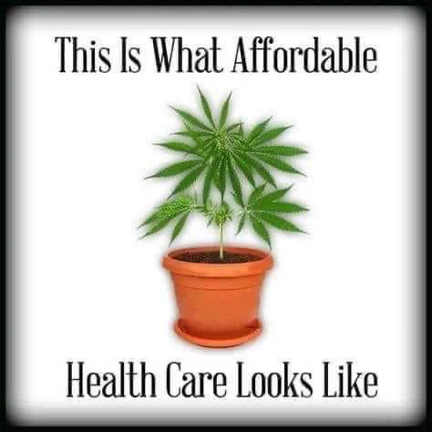 CarverJohns's tweet photo. This is why we should all know how to grow cannabis. https://t.co/krRjJQeGTZ