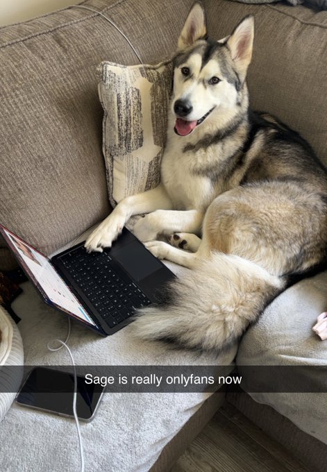 She&rsquo;s my message manager😂🤪 https://t.co/sq3HnYw8X7<a href="/tag/illinois"class="tags"><span>#illinois</span></a><a href="/tag/whitetail"class="tags"><span>#whitetail</span></a><a href="/tag/shedhunting"class="tags"><span>#shedhunting</span></a>
