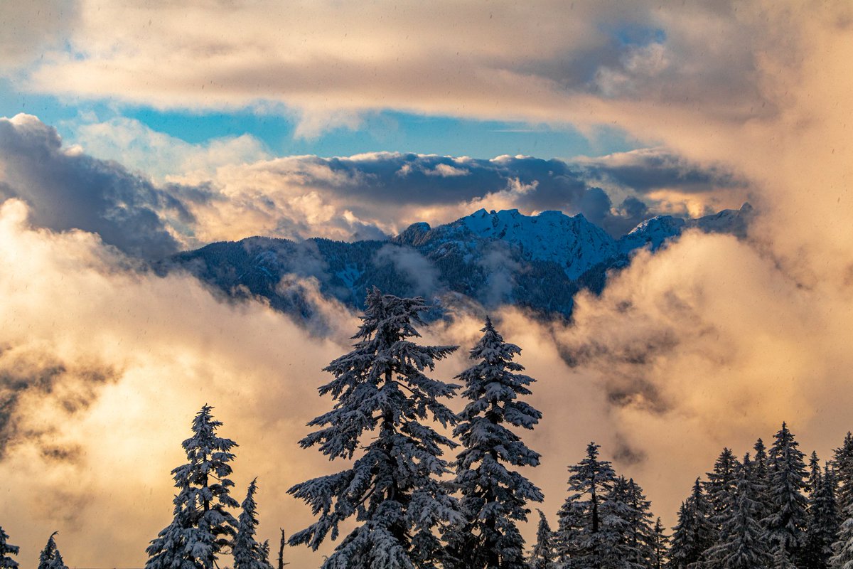 Mt Seymour (@mt_seymour) on Twitter photo We are opening with our Goldie Learning Area and Mushroom Terrain Park TOMORROW! 8:30am - 5:00pm. Early season pricing is in effect.
Stay updated on what further terrain may open by visiting mtseymour.ca
<a href="/GlobalBC/">Global BC</a> <a href="/CityNewsVAN/">CityNews Vancouver</a> <a href="/CTVVancouver/">CTV News Vancouver</a> <a href="/NSNPulse/">NorthShoreNewsPulse</a> We are opening with our Goldie Learning Area and Mushroom Terrain Park TOMORROW! 8:30am - 5:00pm. Early season pricing is in effect.
Stay updated on what further terrain may open by visiting mtseymour.ca
<a href="/GlobalBC/">Global BC</a> <a href="/CityNewsVAN/">CityNews Vancouver</a> <a href="/CTVVancouver/">CTV News Vancouver</a> <a href="/NSNPulse/">NorthShoreNewsPulse</a>
