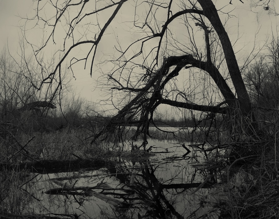 herbholzmann (@herbholzmann) on Twitter photo 