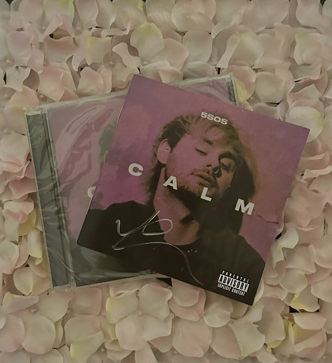 THE5SOSHQ's tweet photo. ✨GIVEAWAY✨ 

Surprise! We are doing another giveaway to kick off 2024 🥳  

We are giving away one of Michael’s CALM covers + signed insert. Please see below how to enter 👇

-Follow us 
-Like 
-RT
-Tag a friend!

Good luck! Ends 1/12. Open world wide. https://t.co/C0H0CjJAtM
