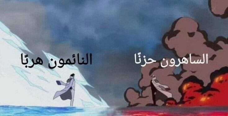 العنكبوت النونو خطفت قلبه عنكبوته (@i1911_) on Twitter photo 