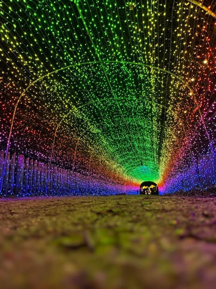 Winter Illuminations tunnel at @YorkshireWP