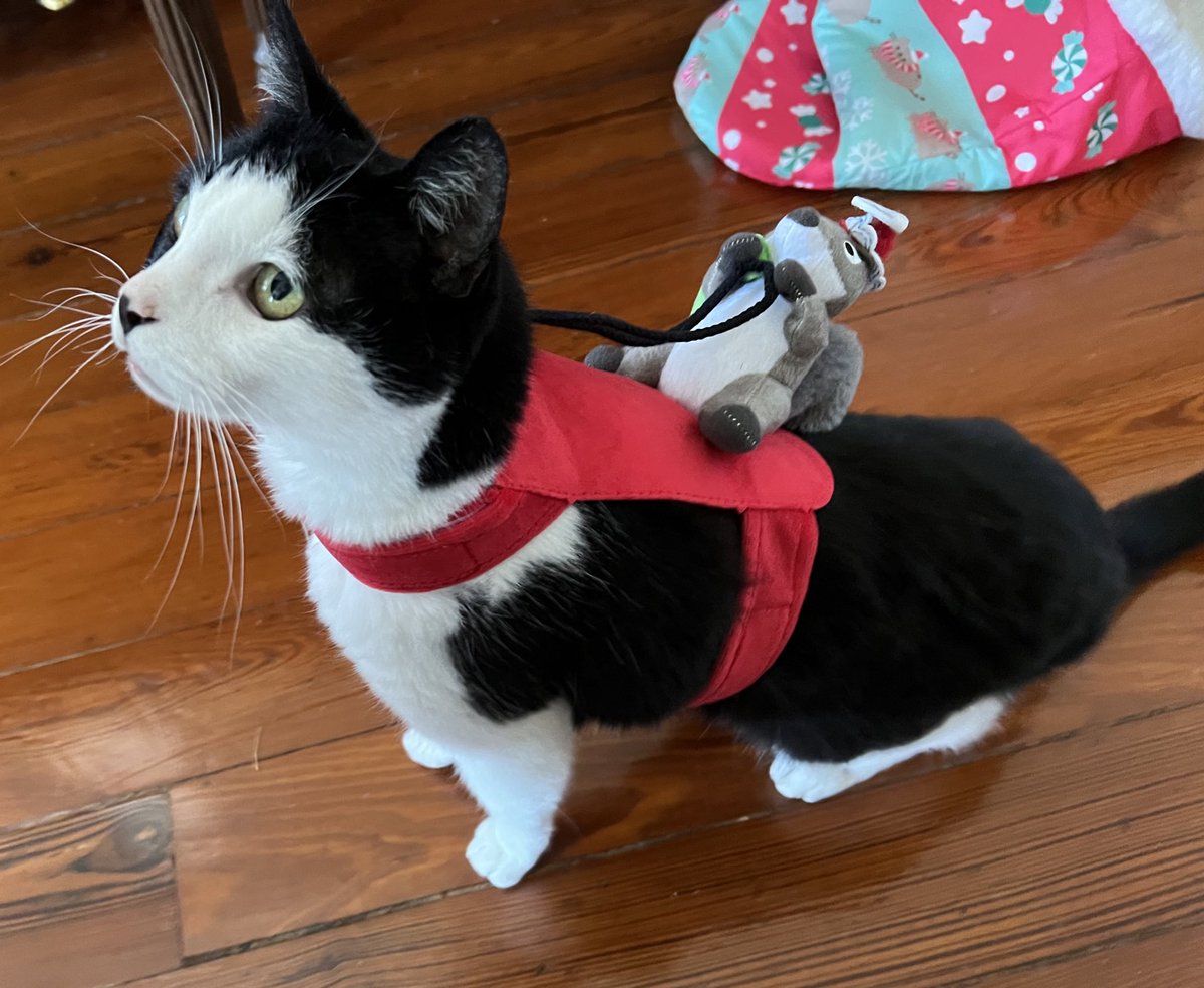 on the  twelf day of Chispsmas  mine mama gave to  me .. …. .. thise liddol Guy ,
