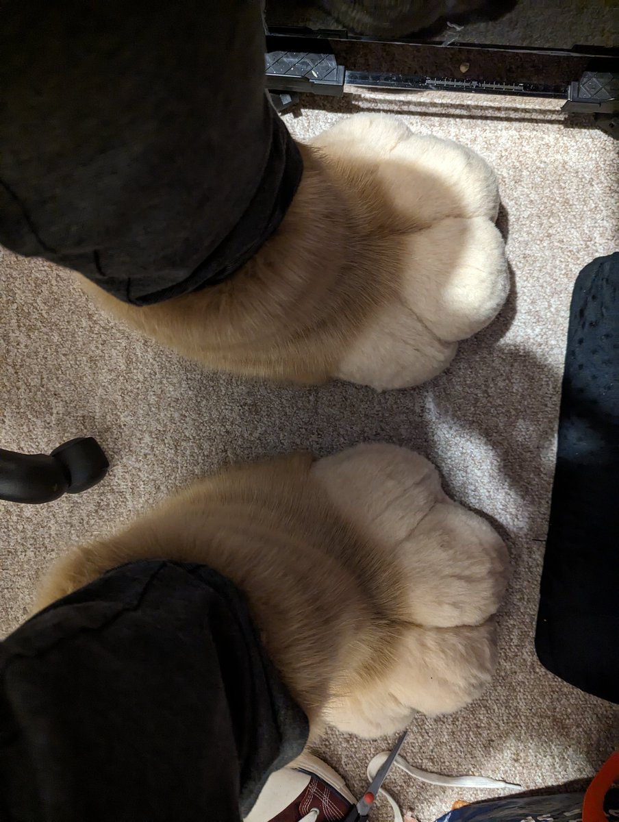 Paws make for the best slippers #FursuitFriday