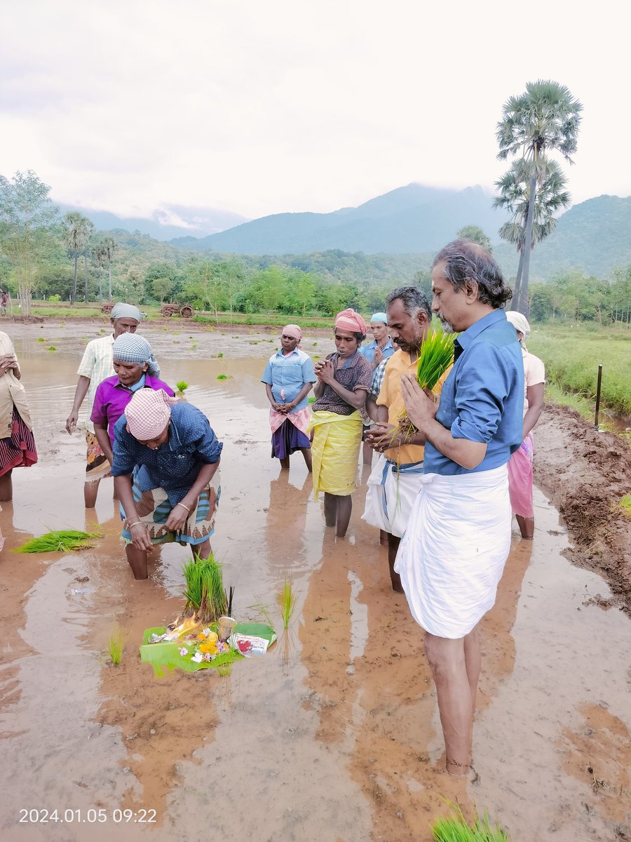 Yesterday we planted some fields with rice paddy, fields that were left fallow last year due to lack of water. Now with abundant water, we are able to cultivate again. 

We had a ceremony at the north-east corner (ஈசான்ய மூலை) and offered a prayer with the rice stalks as Deity🙏