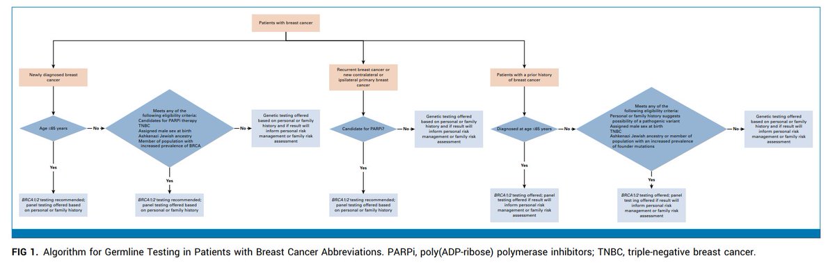Germline testing in patients with breast cancer: ASCO–SSO Guideline
ascopubs.org/doi/10.1200/JC…