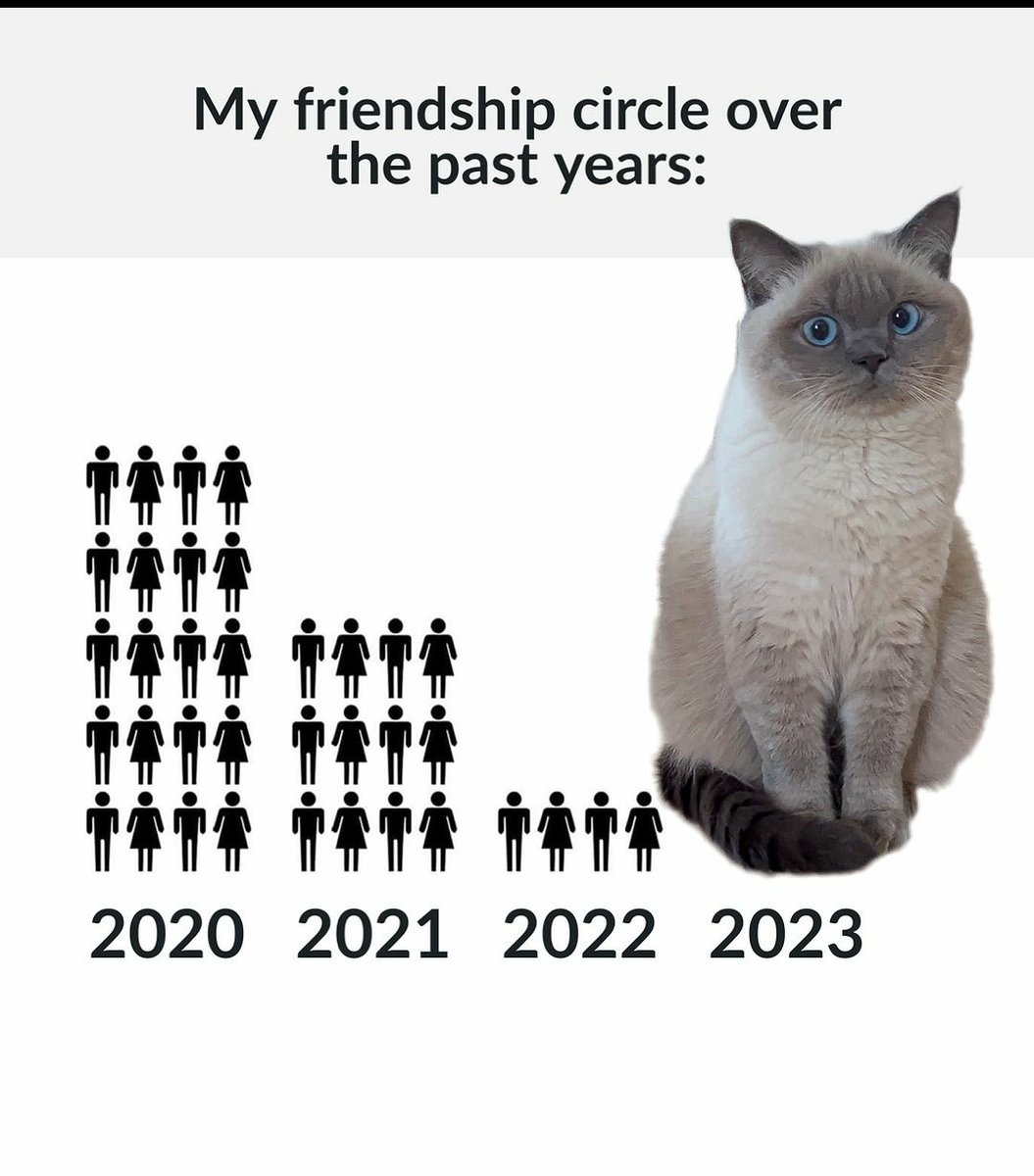 contents that ll heal your depression 🌻 (@catshealdeprsn) on Twitter photo 