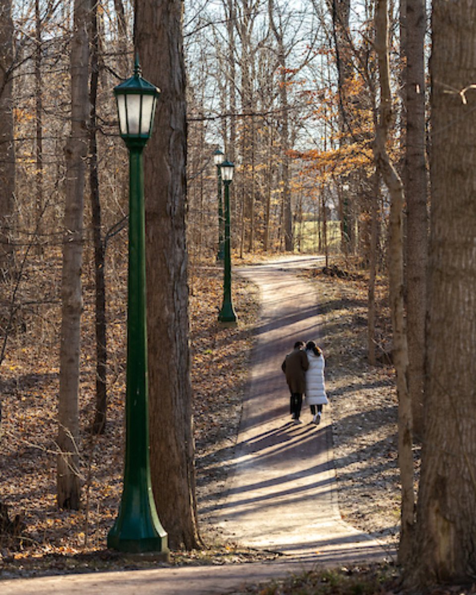 IU First Year Experience Programs tweet media