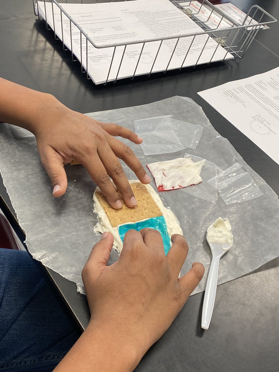 lufkintweets's tweet photo. Plate tectonics in @gibs_scigeeks. #ediblescience⚡️🖤❤️ https://t.co/RoBJRDJlV4
