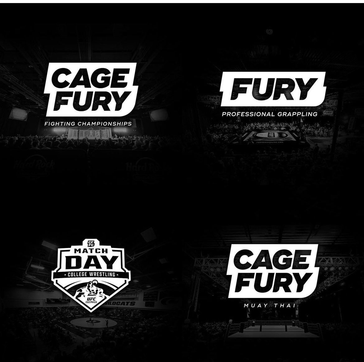 CSTodayNews's tweet photo. CFFC brand is expanding in 2024 💥 https://t.co/wnnUvyoP3M