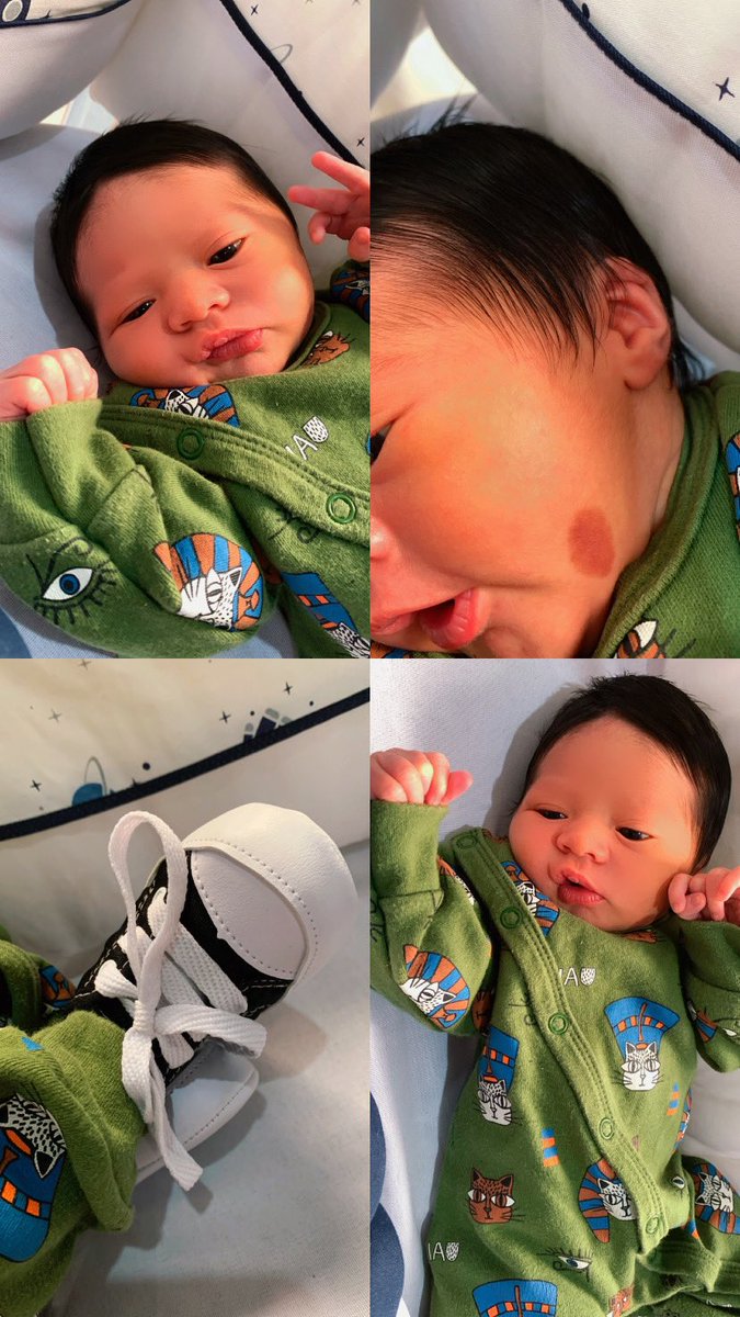 Apresento a vocês o meu japa 🥺💚