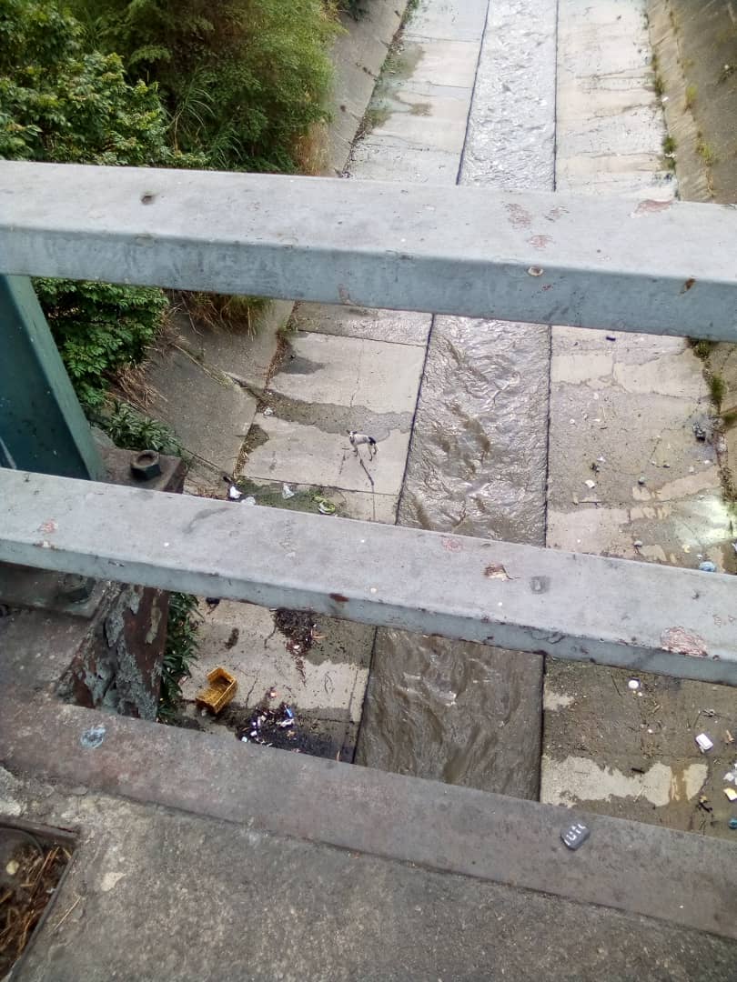 PerroUsuario's tweet photo. Perrito en el Río Guaire a la altura del puente 9 de Diciembre, El Paraiso Caracas RP @yvanovh: Ayudaaaa Asimismo lo difundo. URGENTE BOMBEROS  POLICIA O RESCATISTAS Q SALVEN ESTE PERRITO ESTA C CORREA  EN EL RIO  GUAIRE A LA ALTURA D EL PUENTE 9 D DICIEMBRE  X FAV https://t.co/sqtB3KpdLa