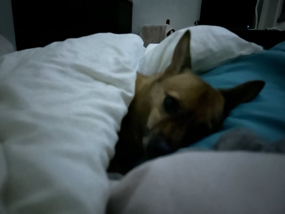 새해 첫날 요약