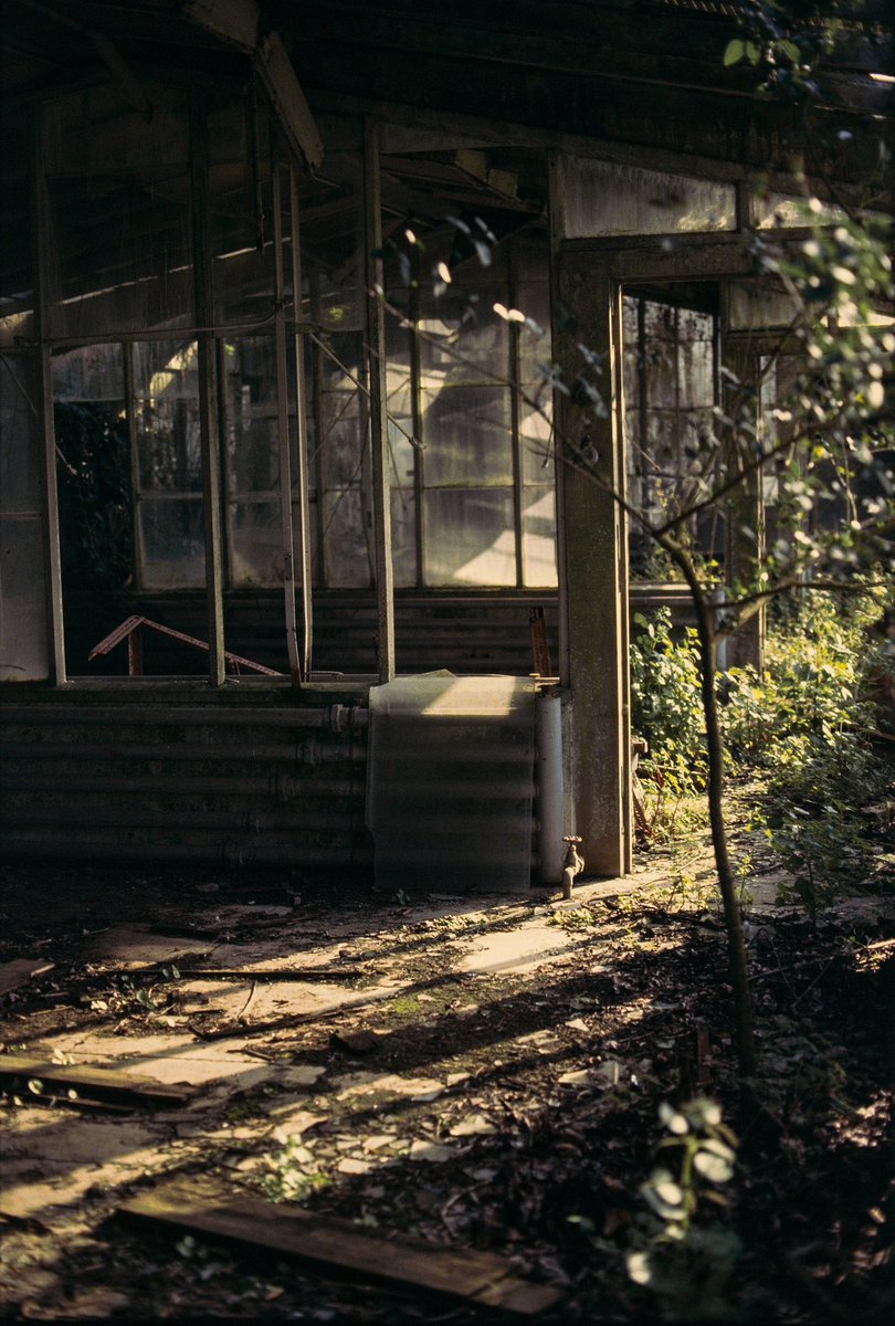 Abandoned greenhouse
Canon A1 🎞️Ektachrome
#filmphotography