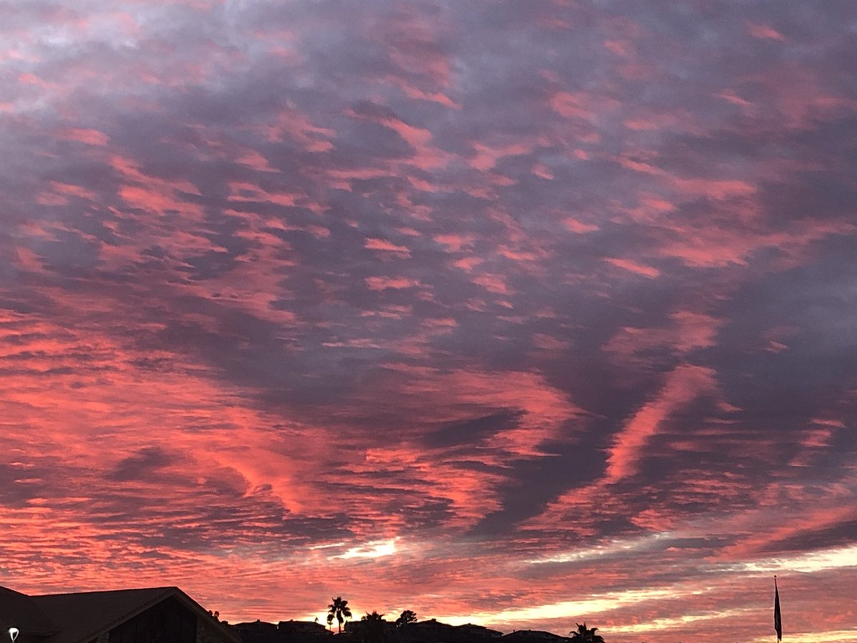 Matt Coviello tweet media