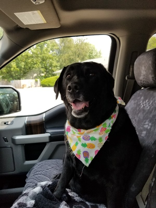 🪖 LTC Hunter tweet media