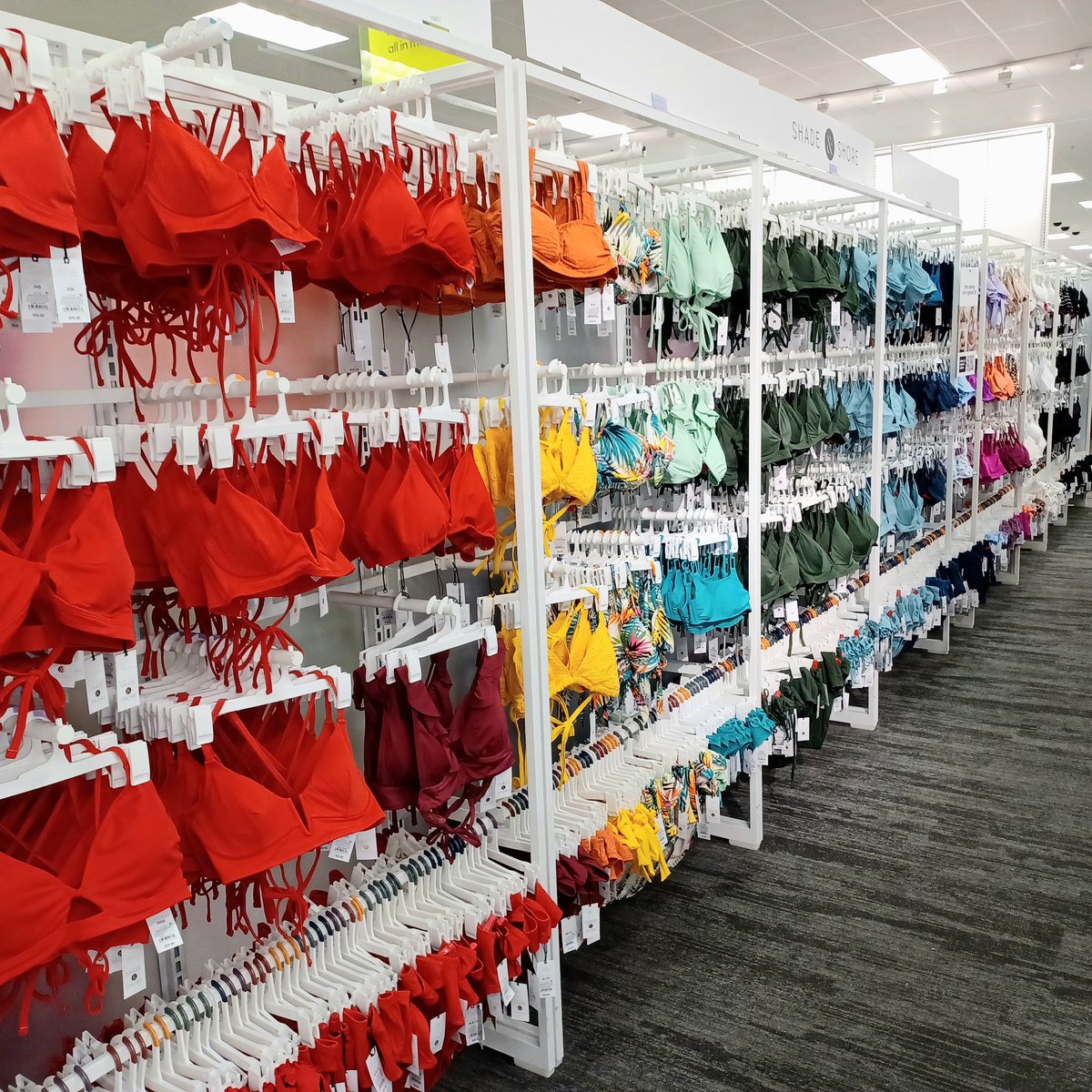 CheyanneTuesday tweet media