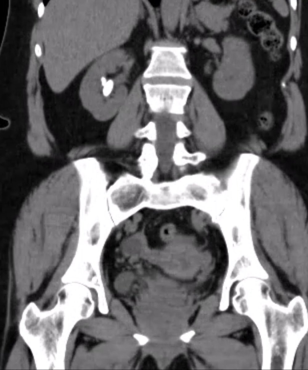 Dr. Almeida tweet media