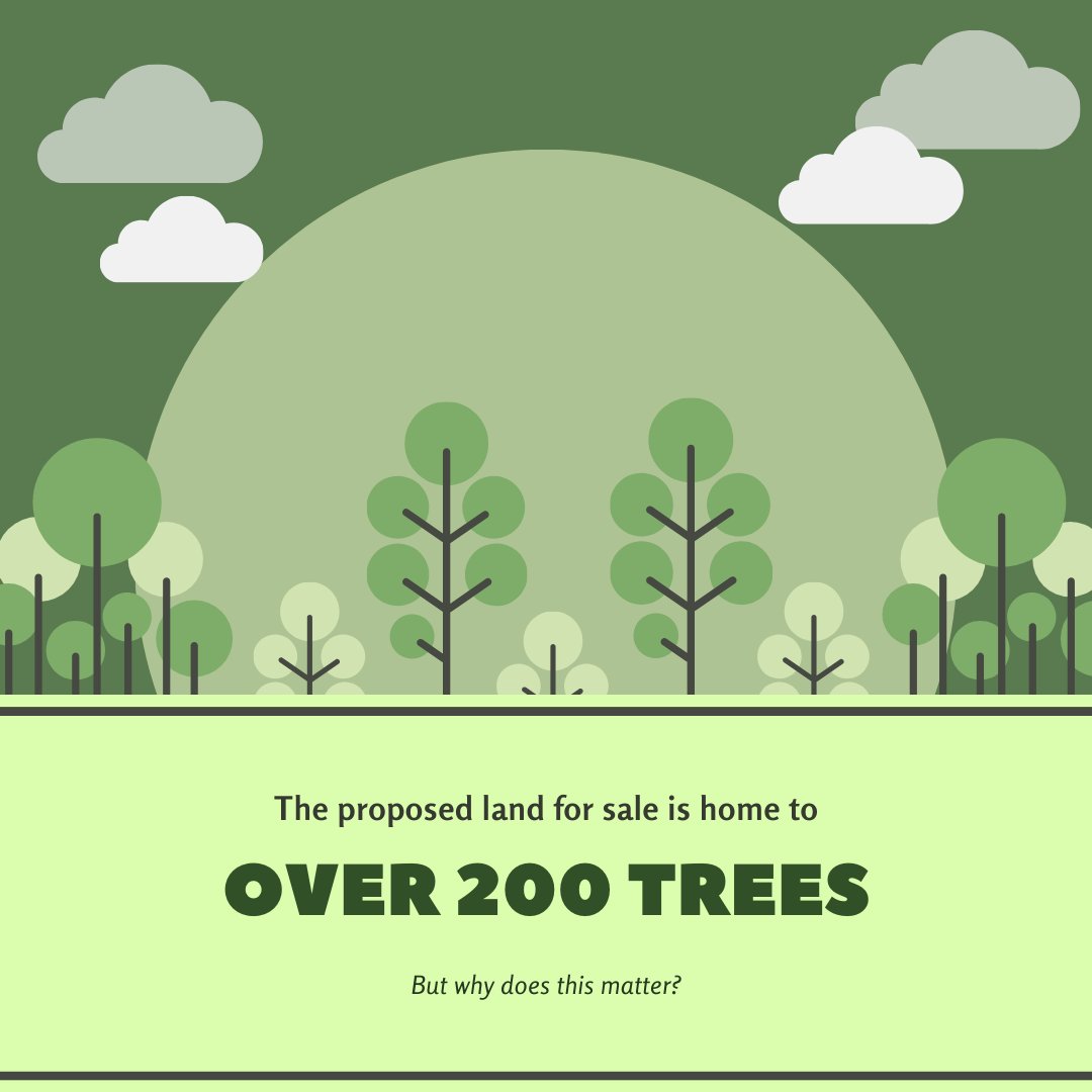 CommunitiesofGL's tweet photo. Pt 1. SAVE OUR TREES. Trees are vital to our ecology and we have over 200 trees that need protection! The city CANNOT sell our parkland. Please share this post and get the word out there. Remember to sign the petition and write in letters to council. #yycbirdwatching #yycbirds https://t.co/jgRmxswqwG