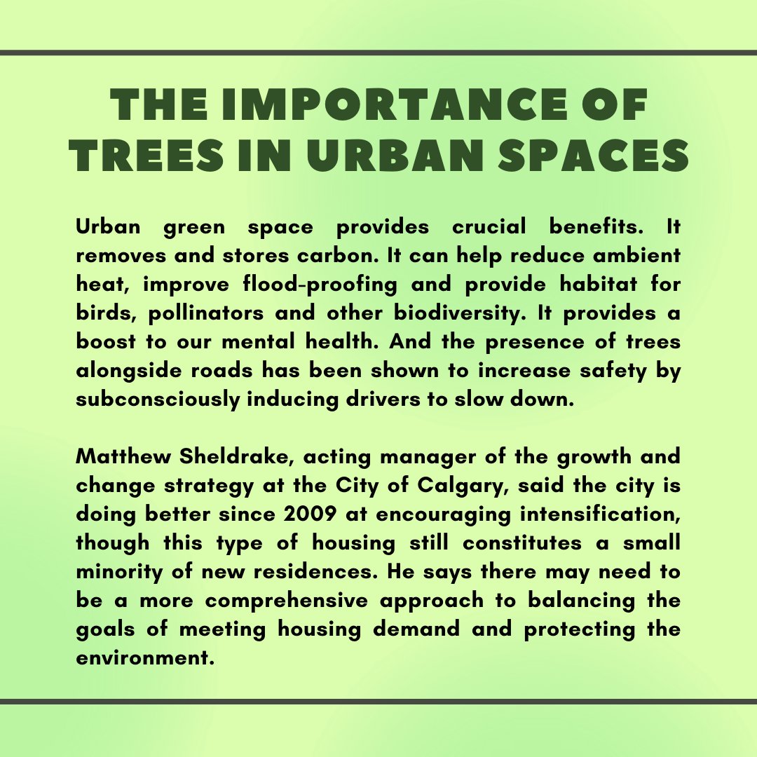 CommunitiesofGL's tweet photo. Pt 1. SAVE OUR TREES. Trees are vital to our ecology and we have over 200 trees that need protection! The city CANNOT sell our parkland. Please share this post and get the word out there. Remember to sign the petition and write in letters to council. #yycbirdwatching #yycbirds https://t.co/jgRmxswqwG