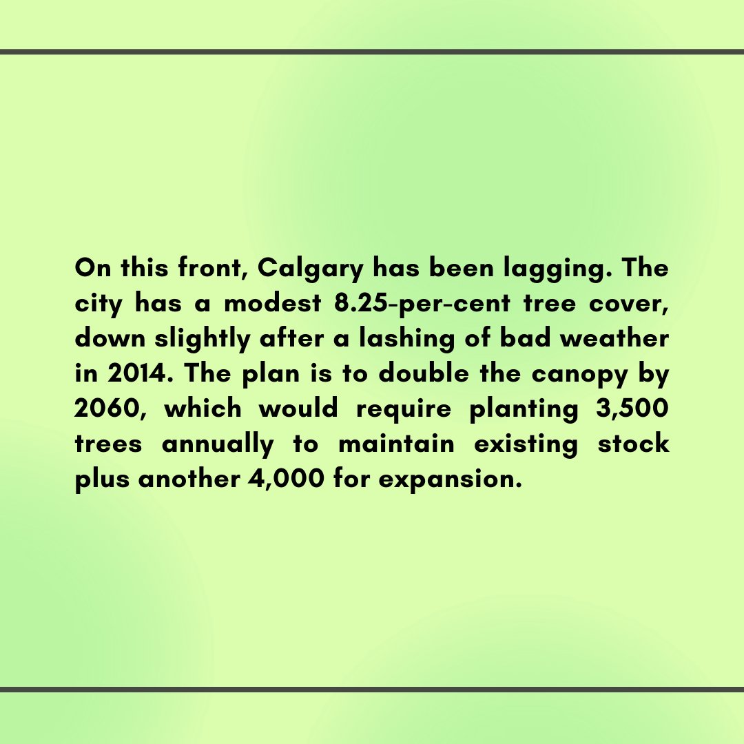 CommunitiesofGL's tweet photo. Pt 2 SAVE OUR TREES. #glenmorelanding #calgaryparkland #stopthetowers #glenmorereservoir   #calgaryreservoir   #calgaryevents  #calgaryparks #northglenmorepark #calgary #heritagepark   #yycwalking   #yycbiking #yyctrails #weaselhead #yycbiodiversity #yycwildlife #yycparks https://t.co/PtUs7kkvpQ