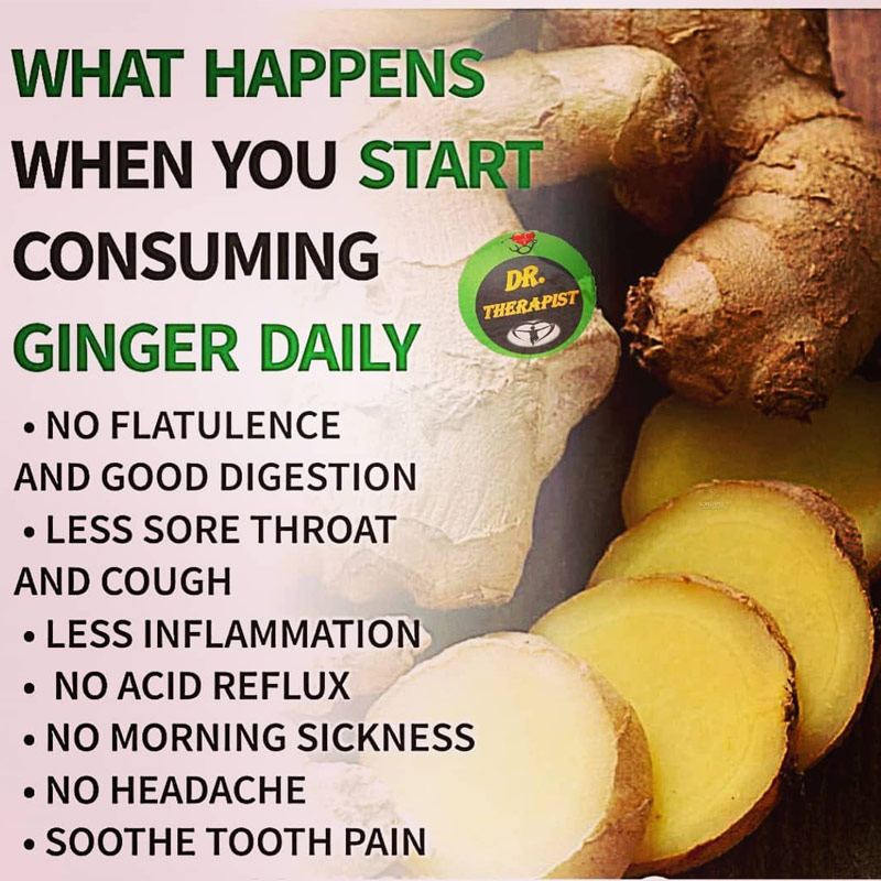 OrganicLiveFood's tweet photo. Ginger is a great anti-inflammatory &amp; superior to NSAIDs &amp; painkillers ibuprofen, Advil &amp; Tylenol. Ginger can be 10,000 times stronger than chemotherapy for  treating cancer and Ginger is diabetic best friend and diabetes worst enemy:

https://t.co/oSvC8ZFiWK