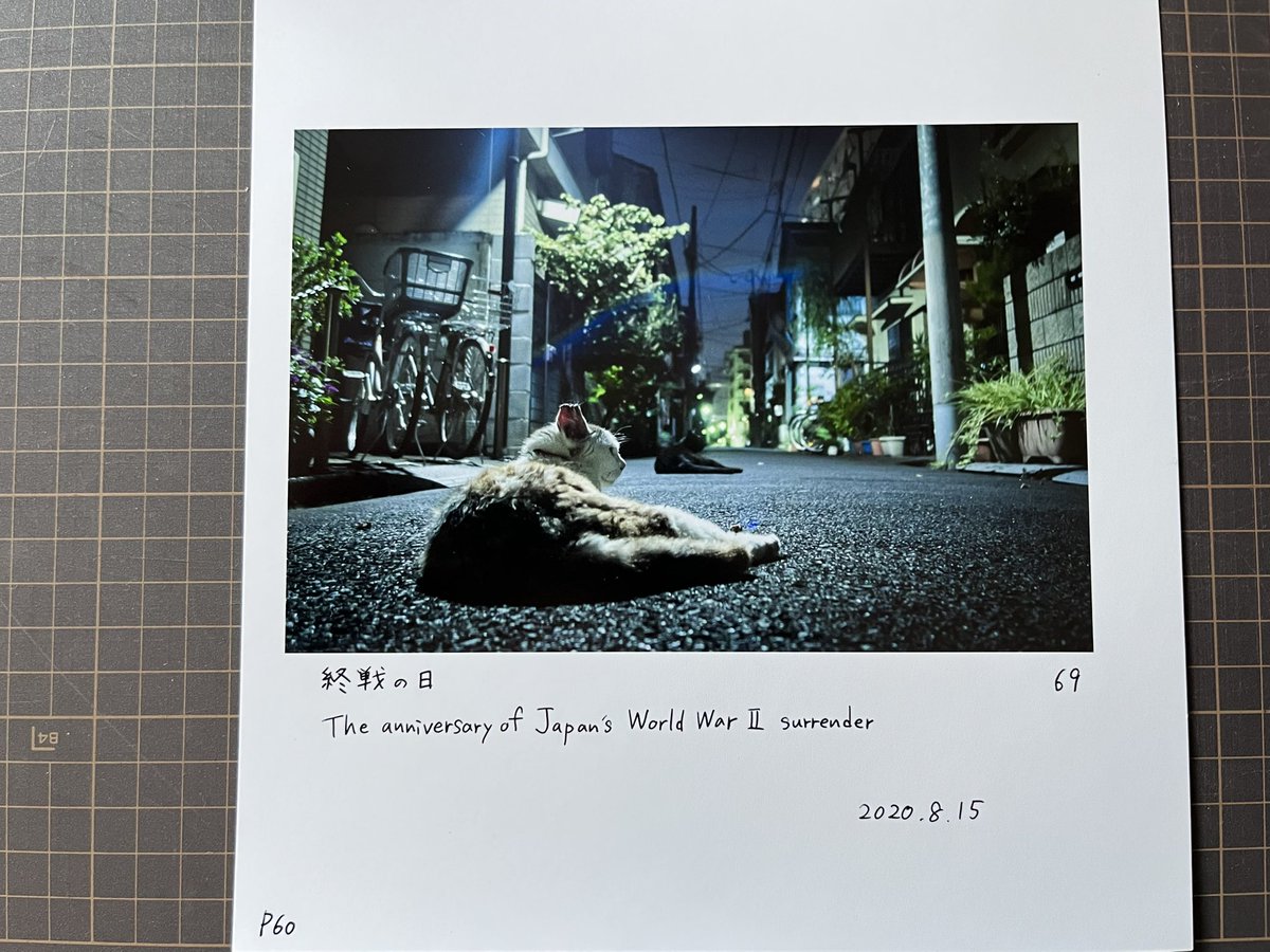 aftphotography's tweet photo. The process of handmade photo book 'Social Distancing Tokyo 2020-2021’
Edition 2.
#soldwork Thankful and grateful to have you as a customer.
#prints #photobook #thankyou #写真集 #photographer #AkiFujitaTaguchi https://t.co/jRI5PX8ST6