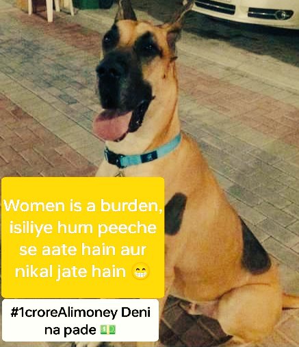 #1CroreAlimony 
#WomenAreBurden 
Even 👇are aware of #1CroreAlimony and #WomenAreBurden and found a solution. 
When are we ??