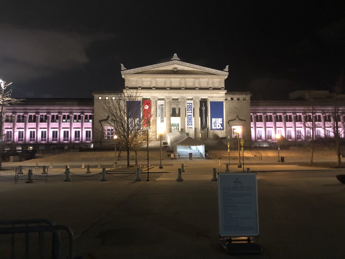 Ari Rice tweet media