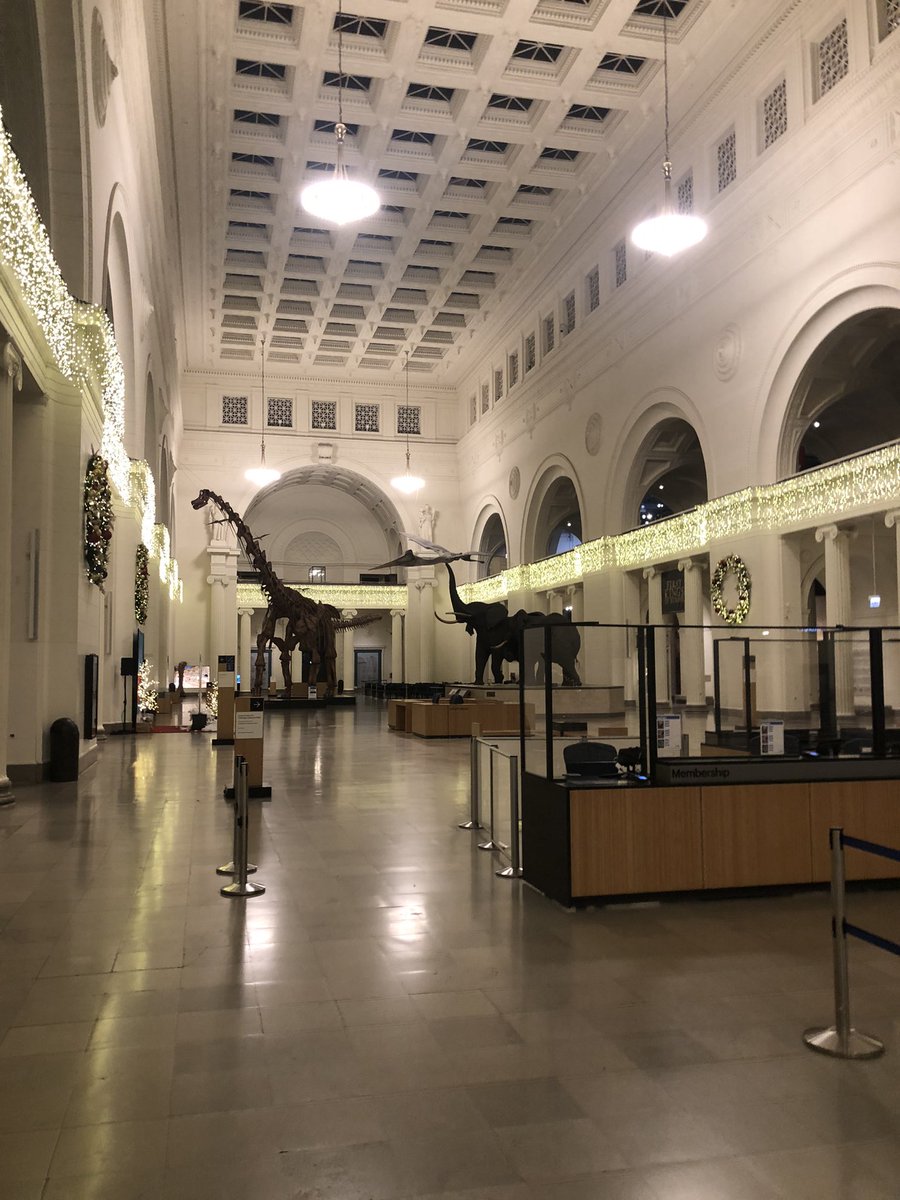 Ari Rice tweet media