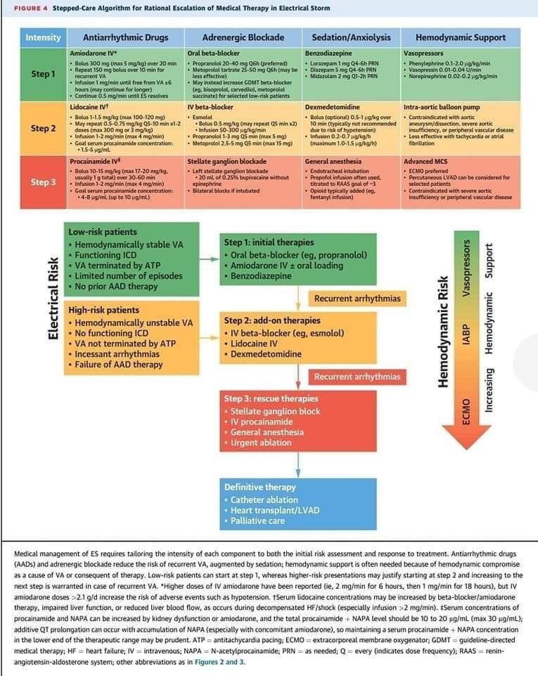 ZHeart11768530's tweet photo. Management of Electrical Storm: JACC State-of-the-Art Review #2023review 

https://t.co/BxYQzfNFUV
 #CardioTwitter #CardioEd #cardiology #OpenAccess #2023review #VT https://t.co/8xCjiJFExi