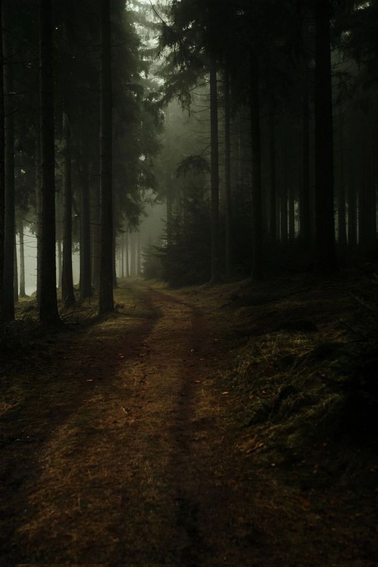 Lolaaortega's tweet photo. Embavecida Por Ela | Wenclair au 

Enid sempre gostou de se aventurar sozinha ou até com as amigas, com pouco tempo que chegou a cidade de jericho ouviu alguns boatos sobre o grande castelo que fica no meio da floresta, se viu curiosa e animada para descobrir se todos os boatos+ https://t.co/961dgfWpoz