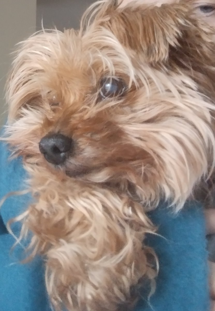 CLDBorn's tweet image. My one and only. 🩷